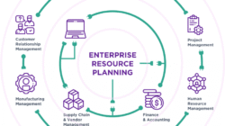 Integrated Business Processes With Erp Systems Book